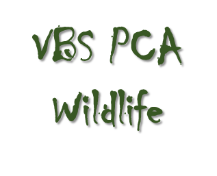 VBSPCA Wildlife